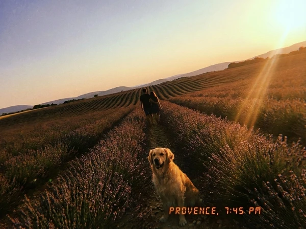 Vacation photo with Chewie added